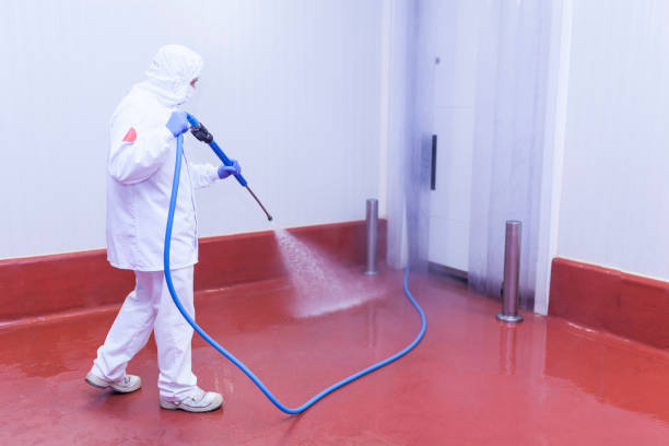 Best Pre-Holiday Cleaning  in Pineland, TX